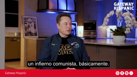 Elon Musk warns about the electoral impact of mass immigration