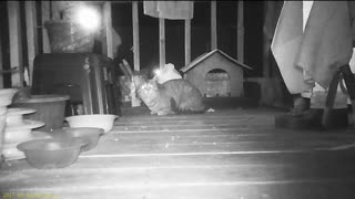 EA 73 - (Almost) Everyone Is Looking for Smokey