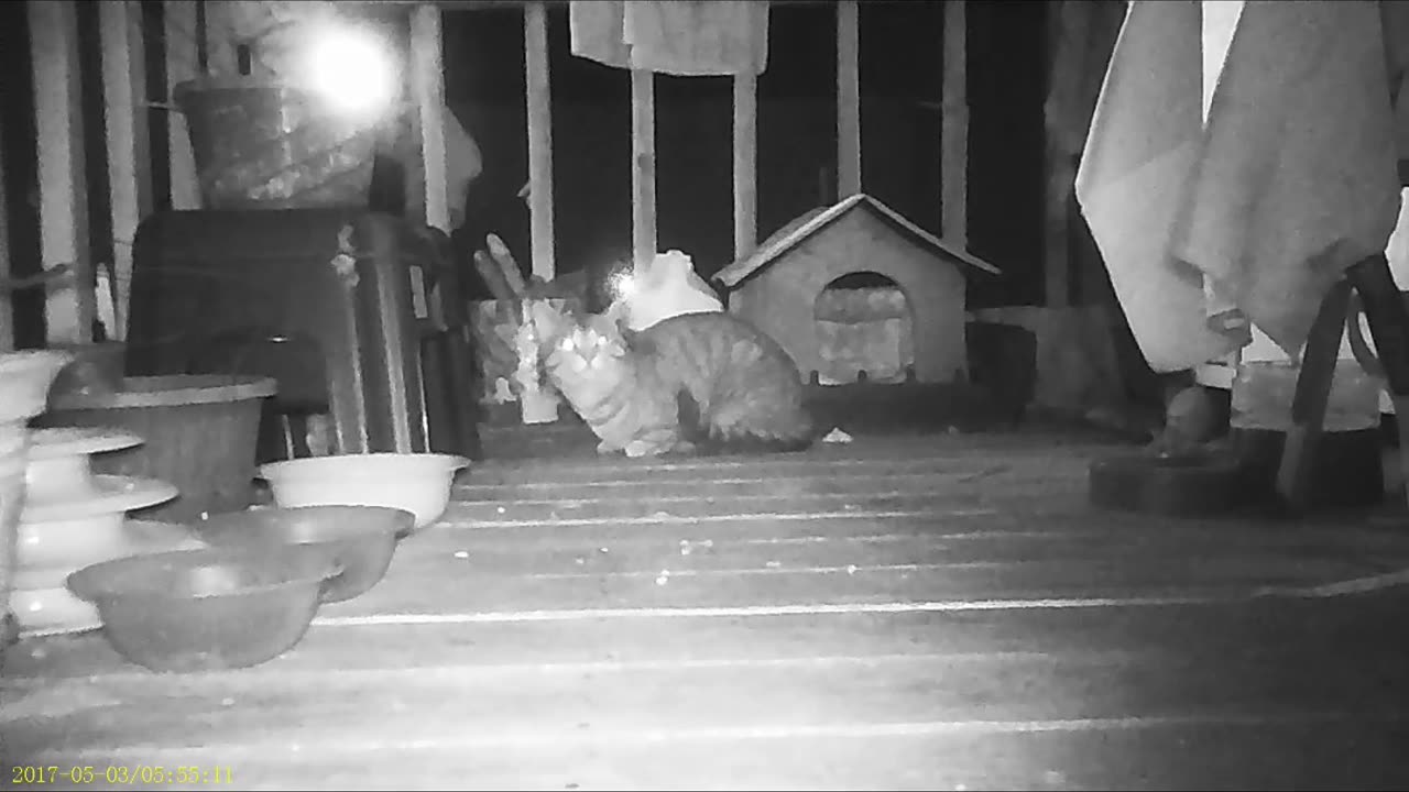 EA 73 - (Almost) Everyone Is Looking for Smokey