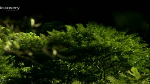 KOSZMARNA WYPRAWA 3 dokument pl