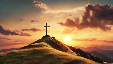 Genesis 8