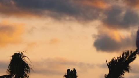 matriarchy meditation, matriarchy on the land, ka-iri wa aloubera.