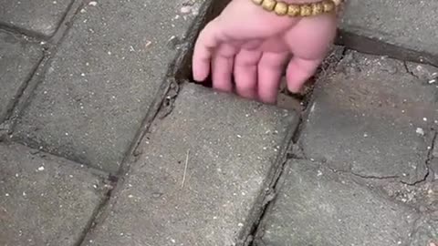 Rescue a cat