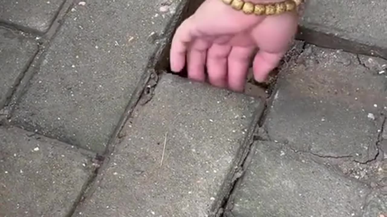 Rescue a cat