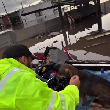 Kind people rescue a dog that was stranded during floods, Texas..🐕❤️