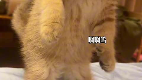 📹 Trending Chinese Viral Videos | Funny, Emotional & Shocking Moments
