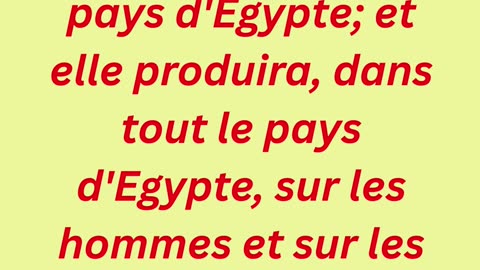 "La plaie des ulcères" exode 9:9,10 #shorts #youtube #ytshorts #jesus #views #youtubeshorts #yt