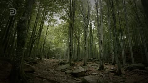 How to Escape the Dominion of Sin | Derek Prince