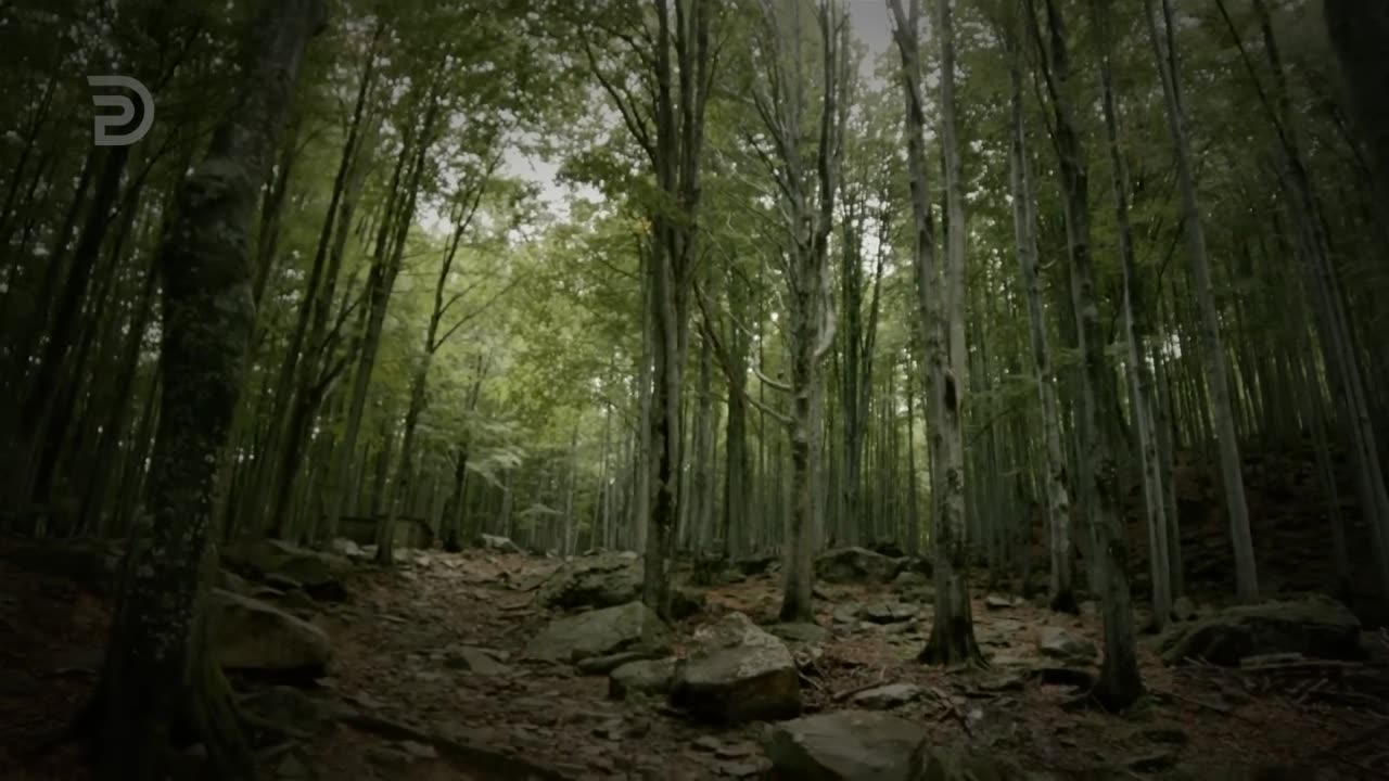 How to Escape the Dominion of Sin | Derek Prince