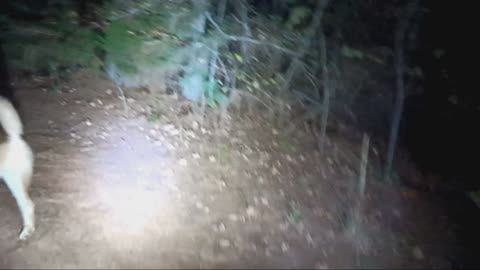 Searching for aurora...