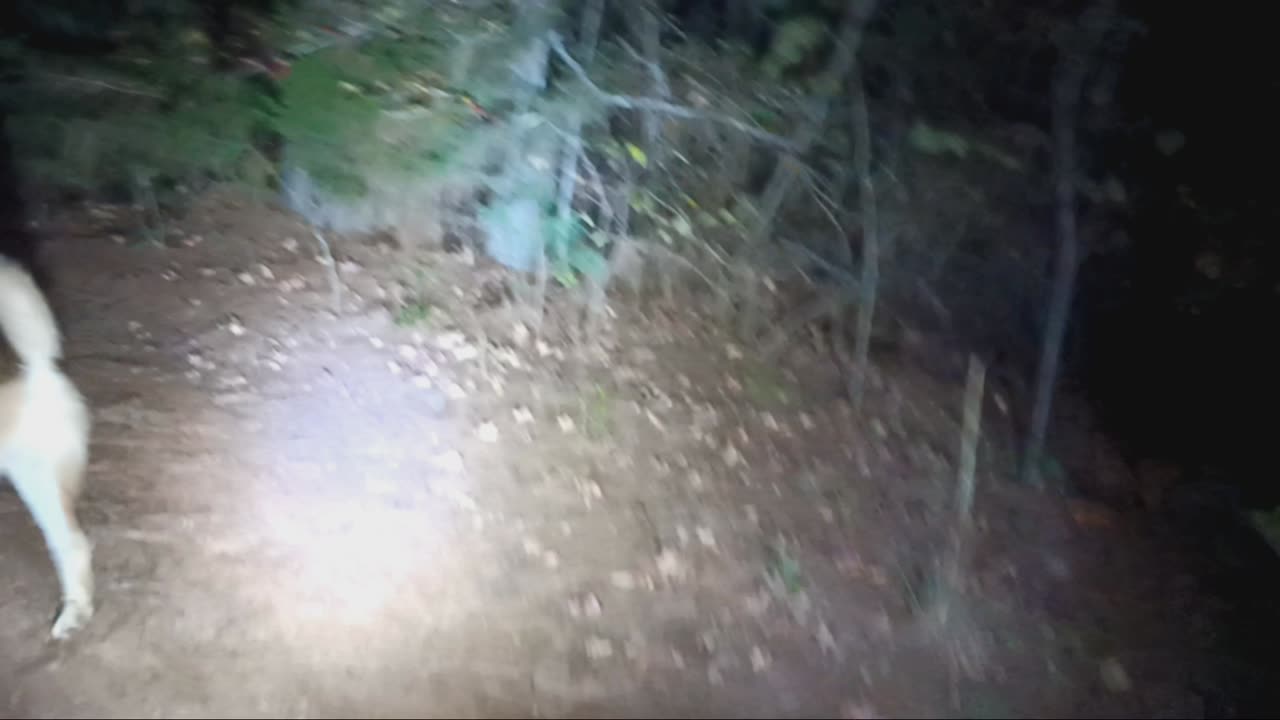 Searching for aurora...