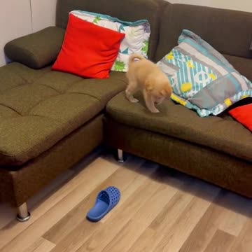 Mission impossible..