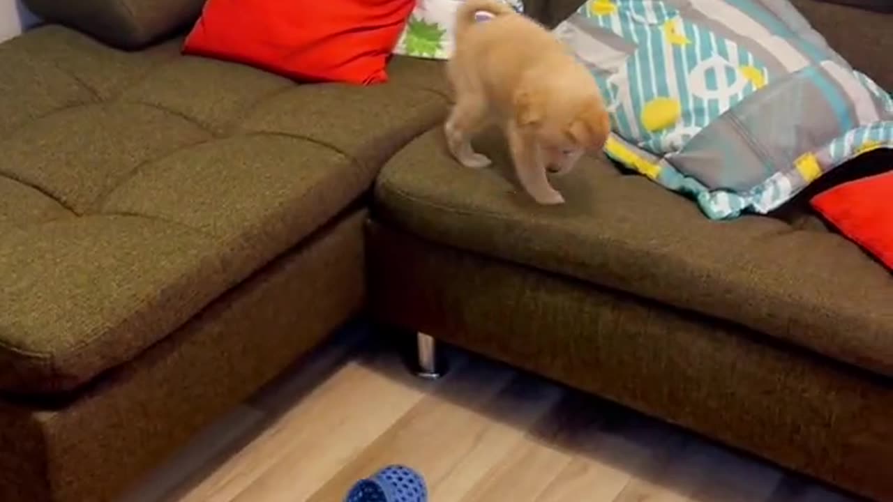 Mission impossible..