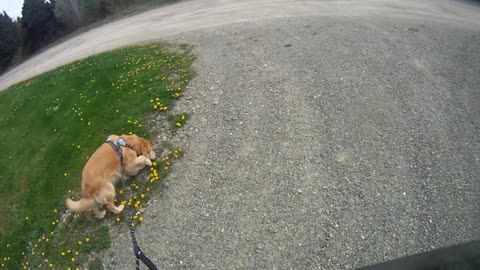 May 15th, 65º