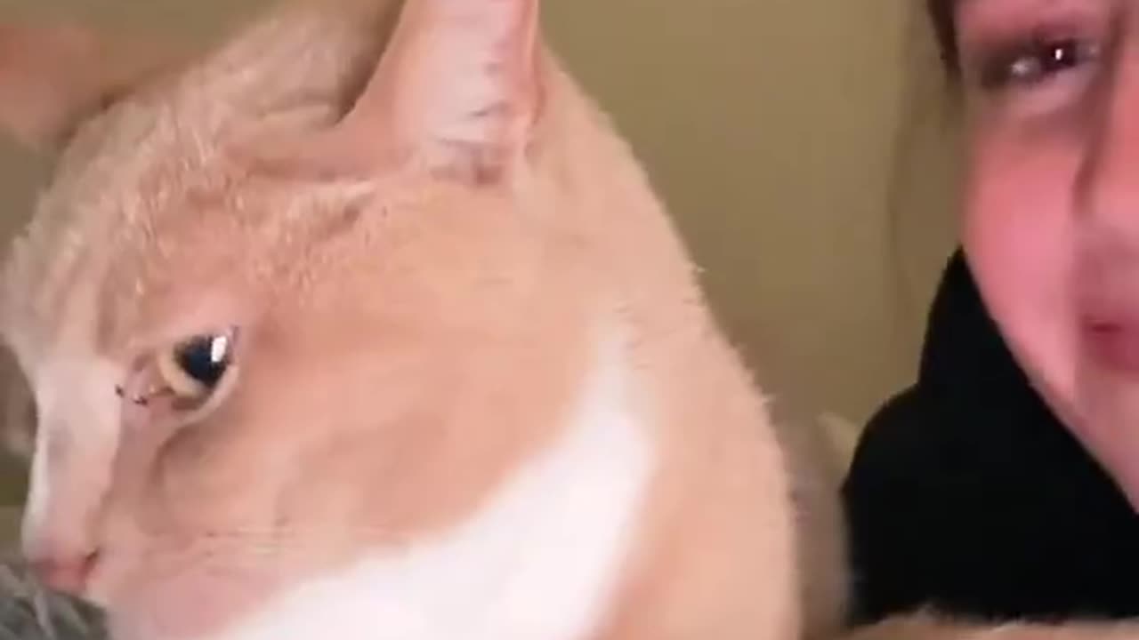 THE WAY HE TURNED HIS HEAD😭😭