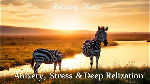 Relaxing Zebra Video || For Anxiety, Stress, Panic Attack, Depression || Soothing Music for Sleep 🌿🦓