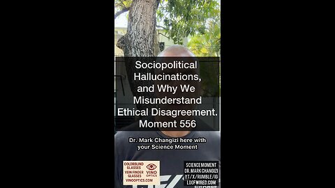 Sociopolitical Hallucinations and Why We Misunderstand Ethical Disagreements. Moment 556