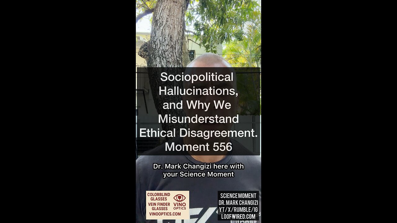 Sociopolitical Hallucinations and Why We Misunderstand Ethical Disagreements. Moment 556