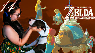 "Wasn't this YOUR idea?" | Alirien Plays The Legend of Zelda: Breath of the Wild [14]