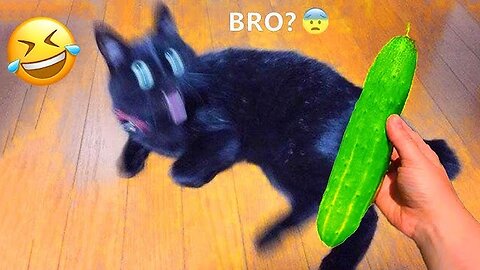 You Laugh You Lose 😂😂 Funniest Cats and Dogs Videos 2025 😻🐶 Part 23