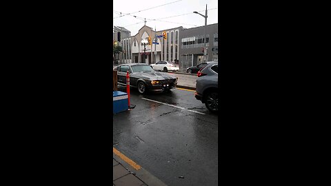 Mustang Elenor