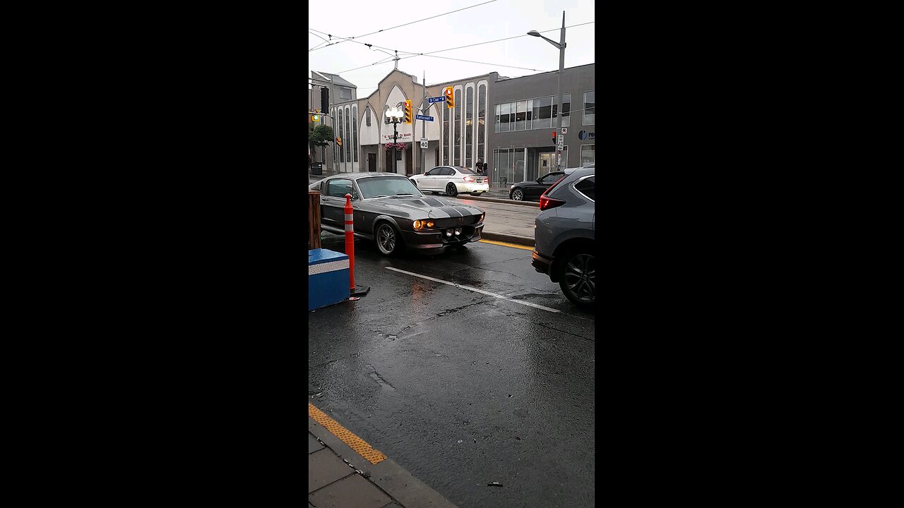Mustang Elenor