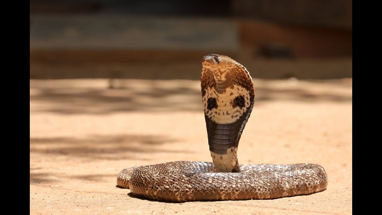 E-Healthcare is a Multi-Use Weapon System