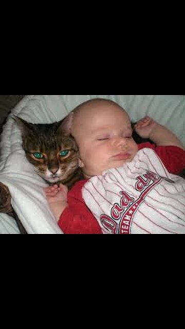"Why Cats Love to Touch Babies’ Hands 🐱👶 | Cute & Interesting!"