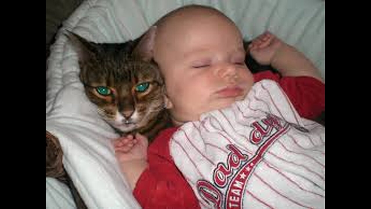 "Why Cats Love to Touch Babies’ Hands 🐱👶 | Cute & Interesting!"