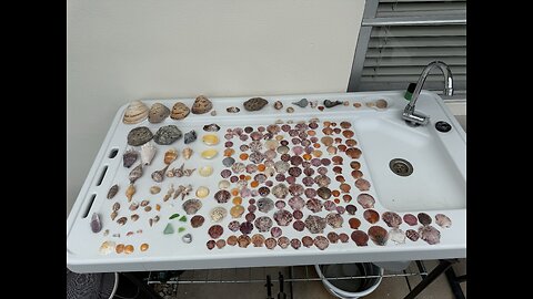 Beach Finds 9/18/2025