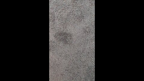 test 1