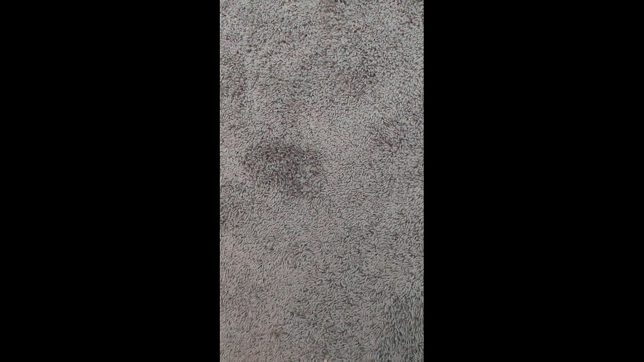 test 1