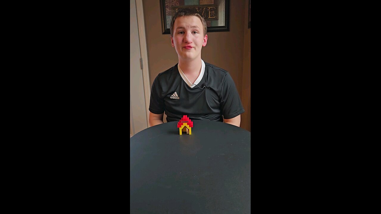 CUSTOM LEGO DOGHOUSE