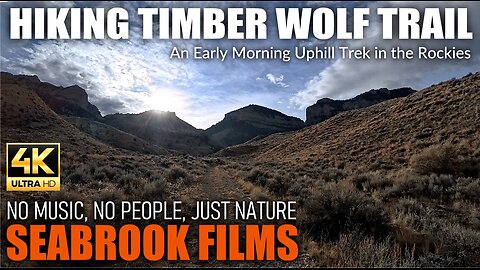 Hiking Timber Wolf Trail: An Early Morning Uphill Trek in the Rockies
