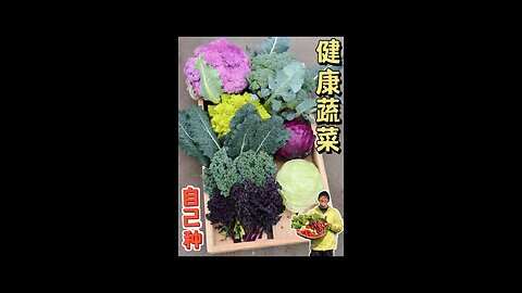how to grow original plants 🌵🌵 AND CARE 😺😺😘
