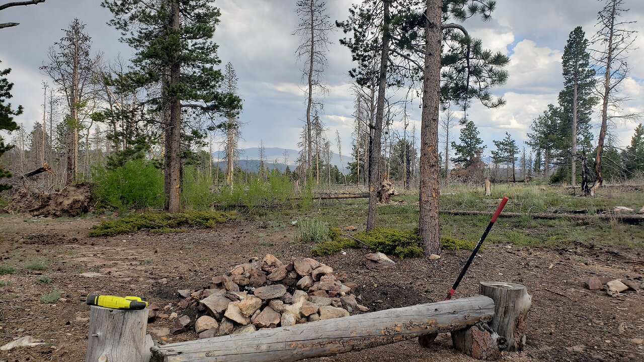 Lumberjack Activities