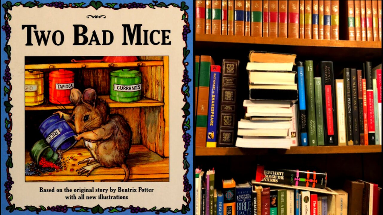 The Tale of Two Bad Mice