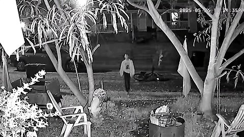 Want-To-Be- TV Thief