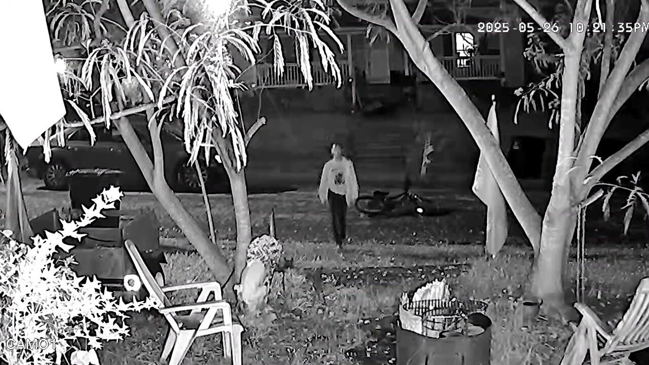 Want-To-Be- TV Thief