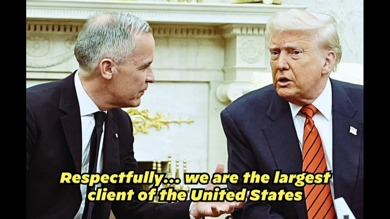 Instant Fact Check😂