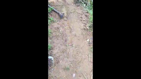 Blessing Rain or Stolen Catch? 😂 Epic Fishing Vibes