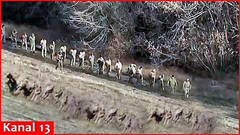 Russian soldiers shoot their own commander and troops surrender en masse