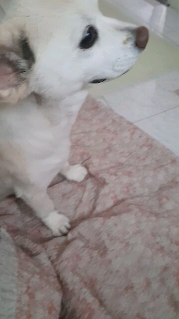 20250811. I believe God.