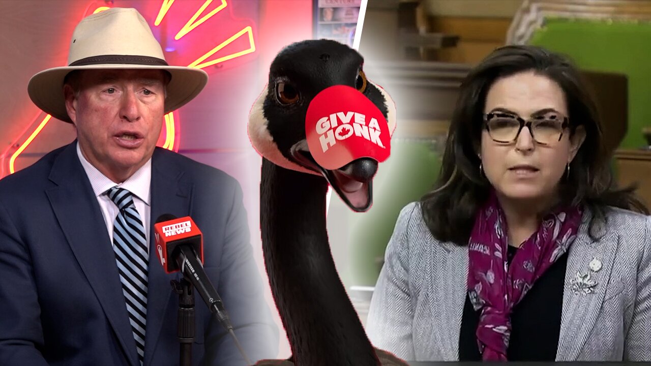 Is ex-Liberal MP Ya’ara Saks having a meltdown over Petro-Canada’s “Honk” campaign?