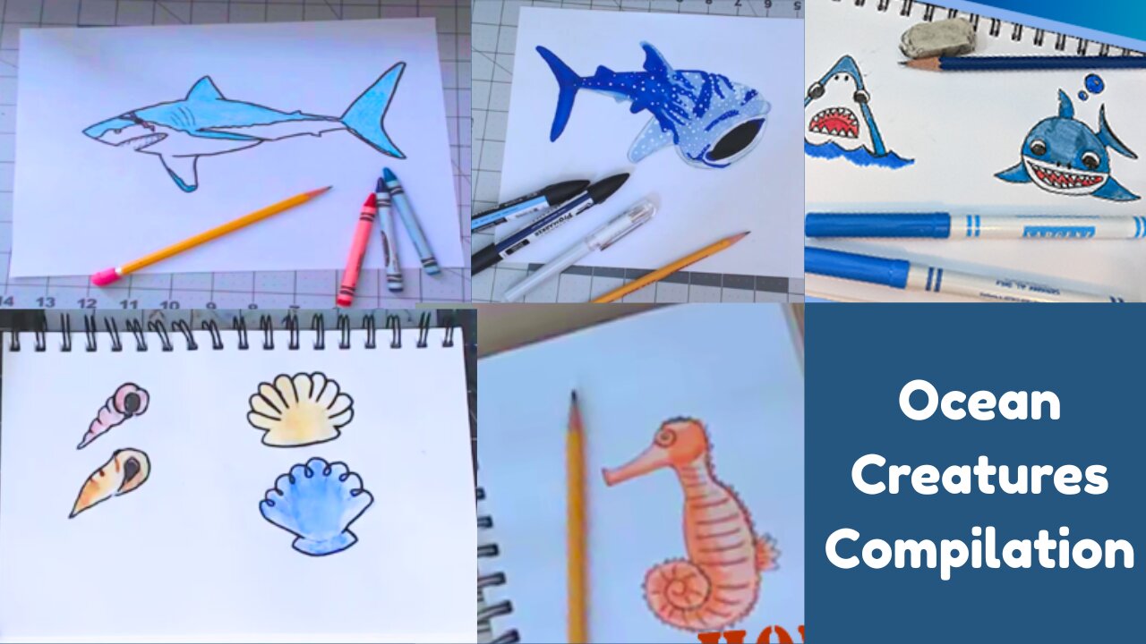 HOW TO DRAW - Ocean Creature Compilation [Sharks, Seahorse & Shells]