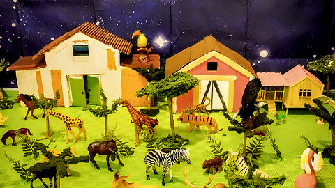Some Informations About Farm Animals !