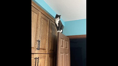 Episode 3062 CWSA 01/04/26