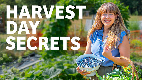 From Garden to Pantry: How I Preserve a Full Harvest (Even When I’m Short on Time)