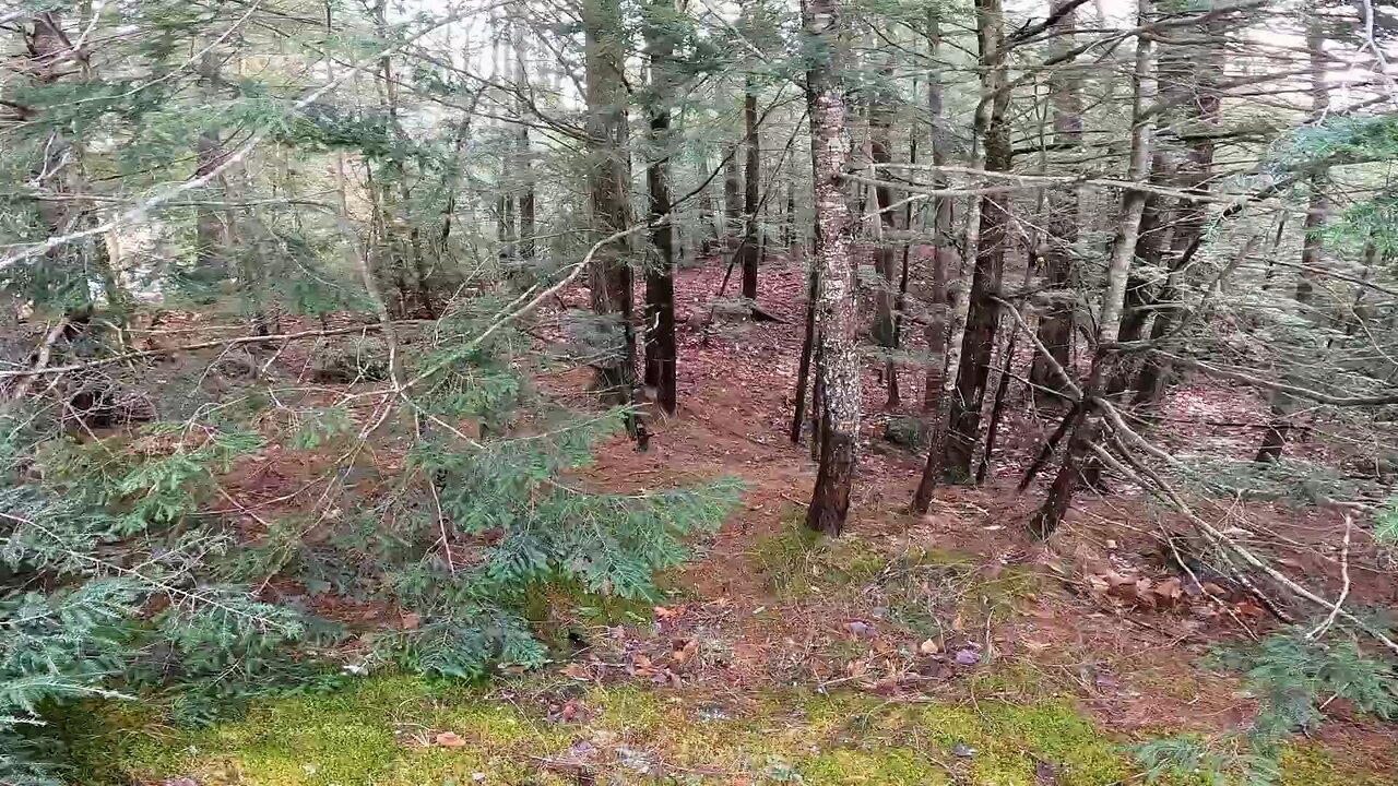 Take a Hike
