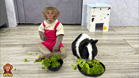 A happy week for monkey YiYi and the adorable mouse